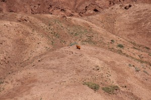 central asia, kyrgistan, tajikistan