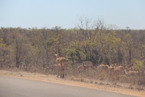 south africa