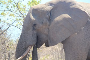 south africa