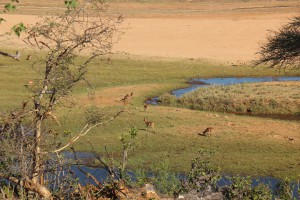 south africa