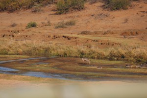 south africa