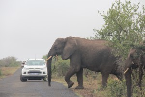 south africa