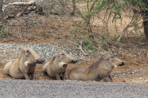 south africa