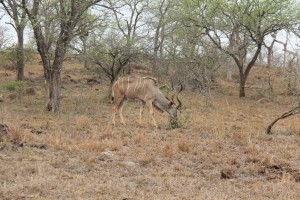 south africa