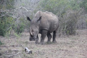 south africa