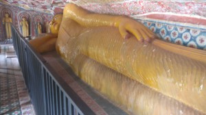 Sri Lanke Februar 2017