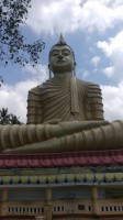 Sri Lanke Februar 2017