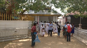 Sri Lanke Februar 2017