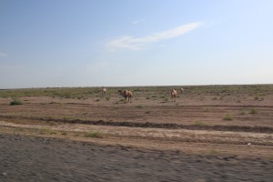 Kazakhstan, Baikonur, Kyrgyzstan 2018