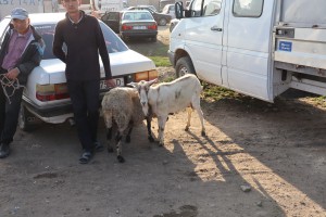 Kazakhstan, Baikonur, Kyrgyzstan 2018