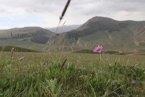 Kazakhstan, Baikonur, Kyrgyzstan 2018