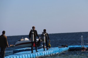 Ägypten, Sharks Bay