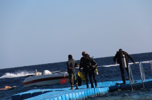 Ägypten, Sharks Bay