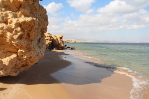 Ägypten, Sharks Bay